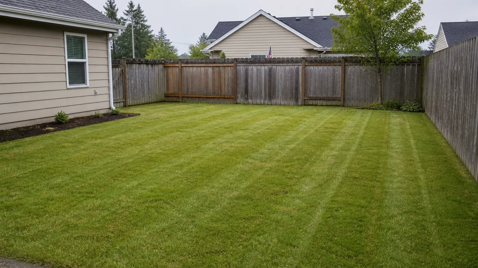 Small residential lawn with subtle stripe finish after mowing.